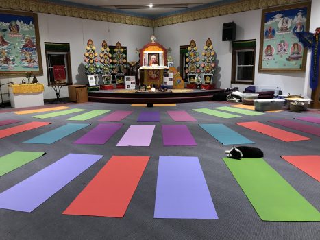 Yoga Mats set up for Restore Your Balance day-long retreat in Bloomington, Indiana