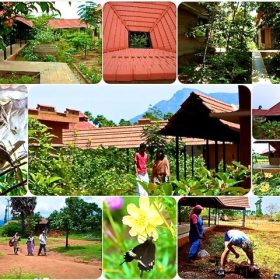 Collage of in harmony with nature: vegetations of Vaidyagrama